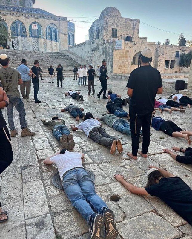 مستوطنون يؤدون "السجود الملحمي" أمام قبة الصخرة خلال اقتحامات واسعة للمسجد الأقصى